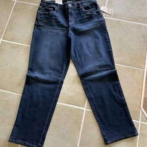 Denim Jeans Curvy Boyfriend Biot Cut